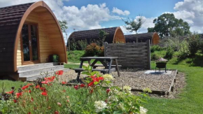 Lupin Glamping Pod